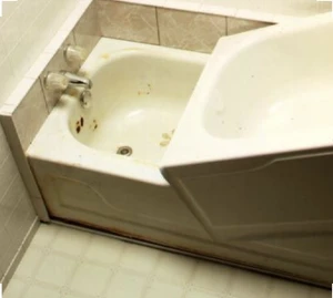 bathtub liner bathtub liner