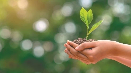 environmental friendly environmental friendly