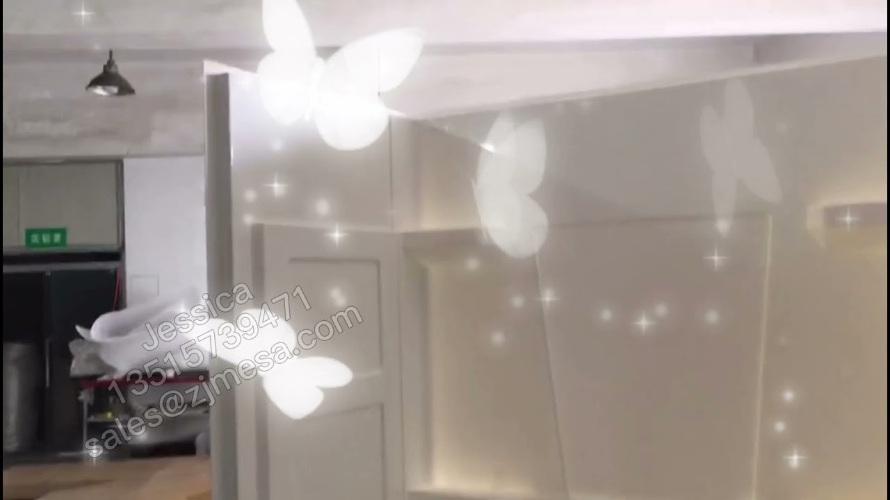 Video preview