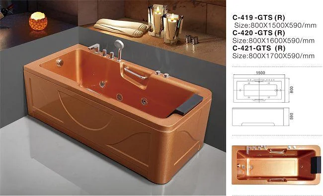 C-419 -GTS (R)(001)