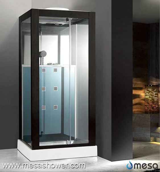 Black Painted Aluminum Frame Shower Room With Pivot Door