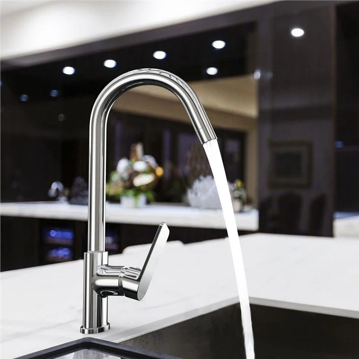 Gooseneck Faucet