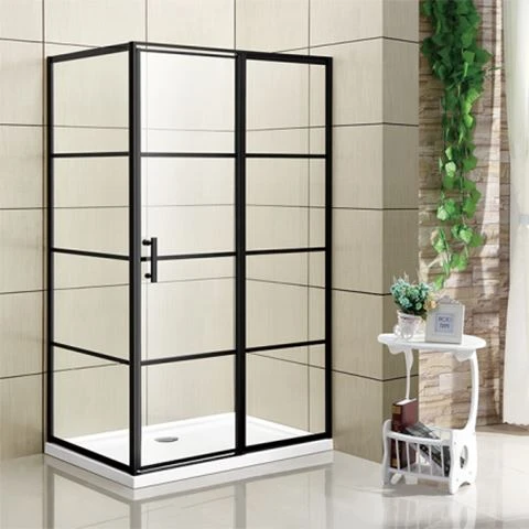 Shower Door