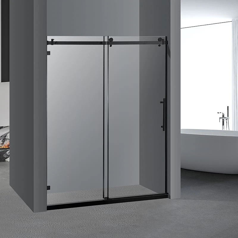 Black Shower Door