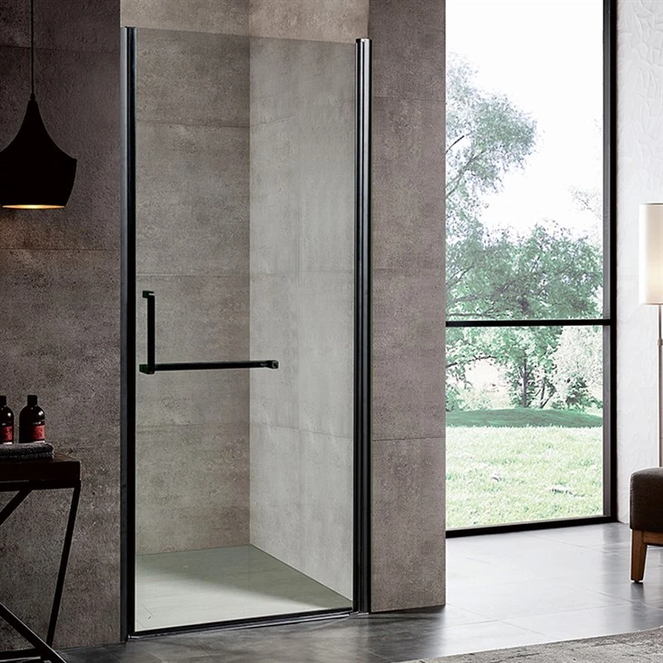 Shower Pivot Door